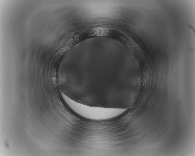 X0000098130553200805151118