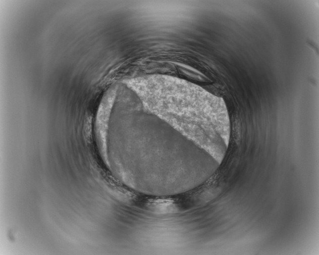 X0000098130554200805151118