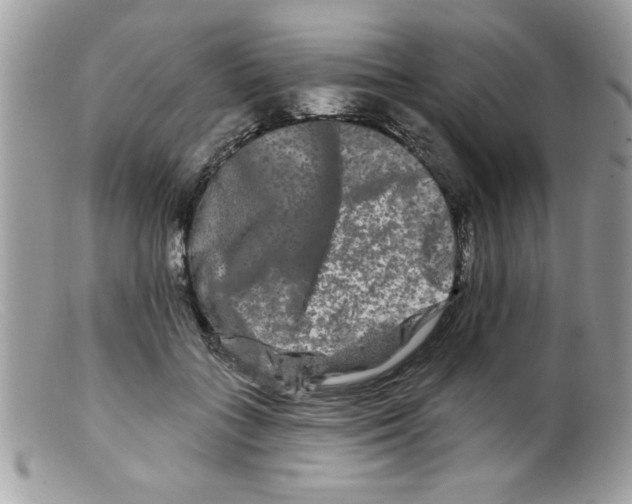 X0000098130555200805151118