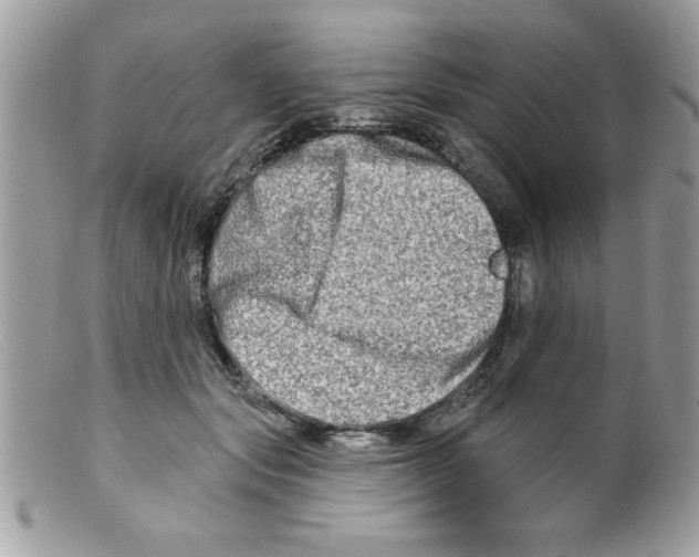 X0000098130557200805151118