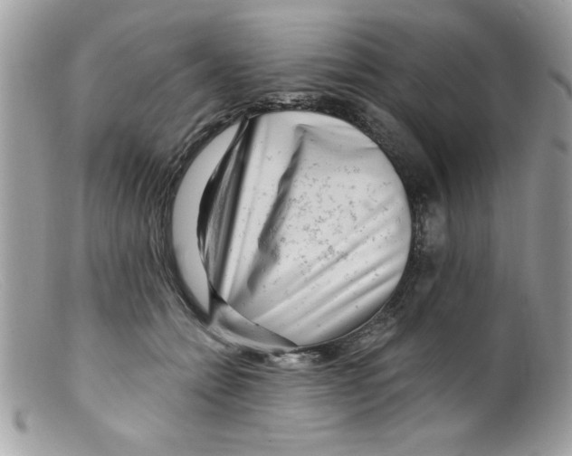 X0000098130558200805151118
