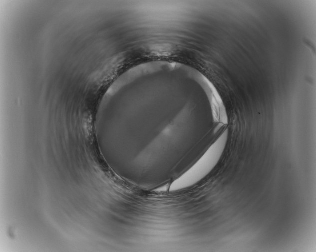 X0000098130559200805151118