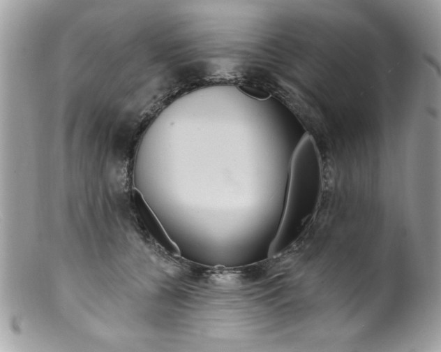 X0000098130560200805151118