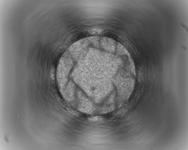 X0000098130561200805151118