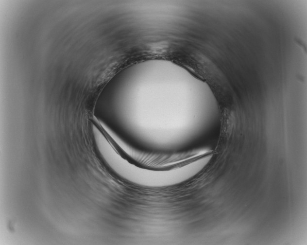 X0000098130562200805151118