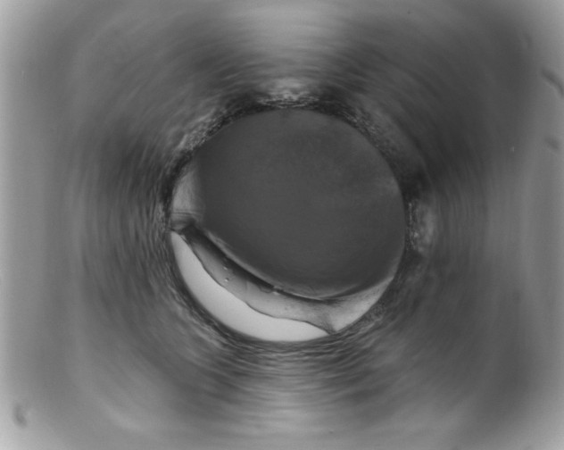 X0000098130563200805151118