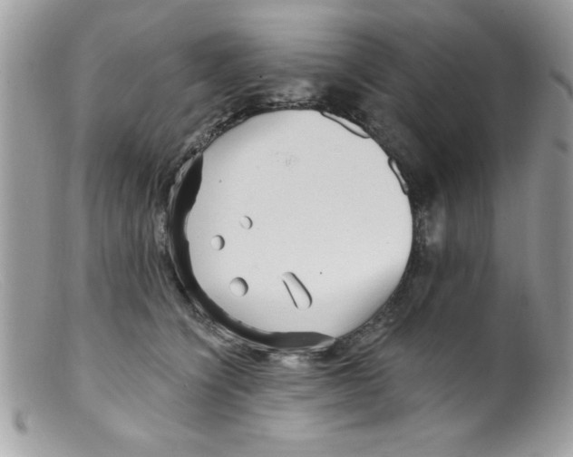X0000098130564200805151118