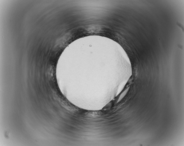 X0000098130567200805151118