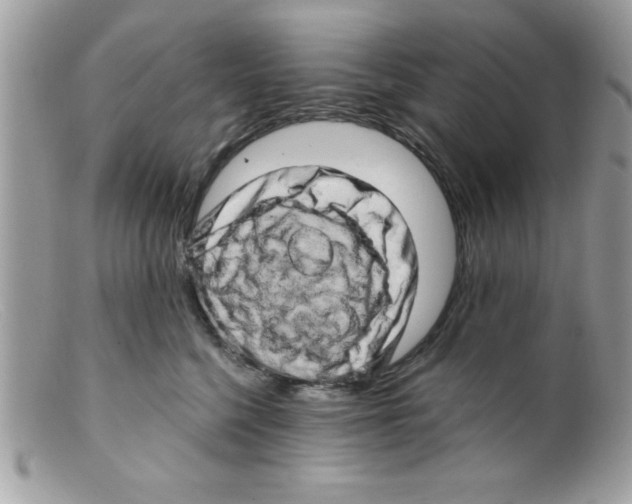 X0000098130568200805151118