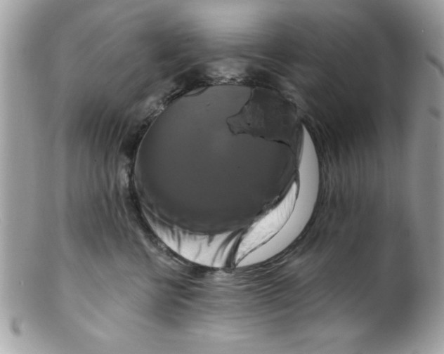 X0000098130570200805151118