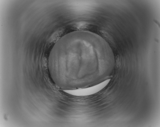 X0000098130571200805151118