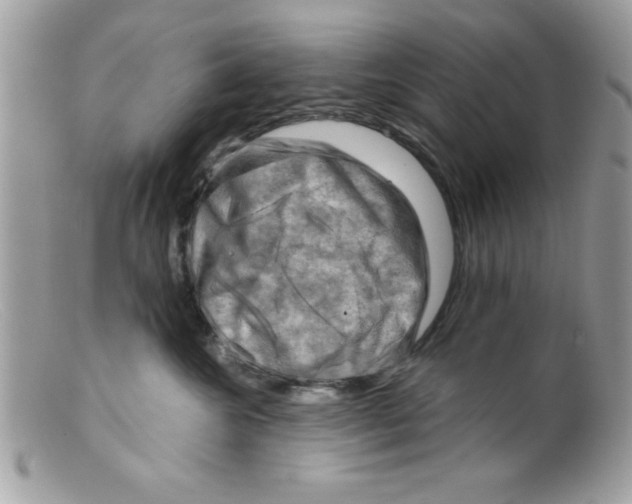 X0000098130572200805151118