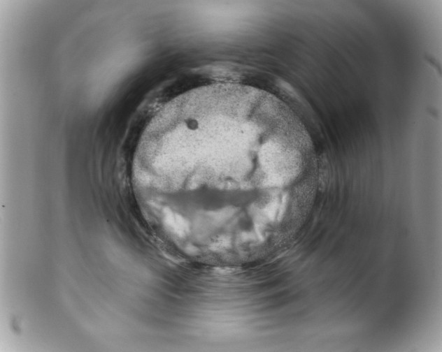 X0000098130573200805151118