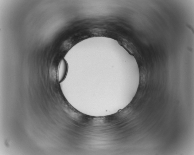 X0000098130574200805151118