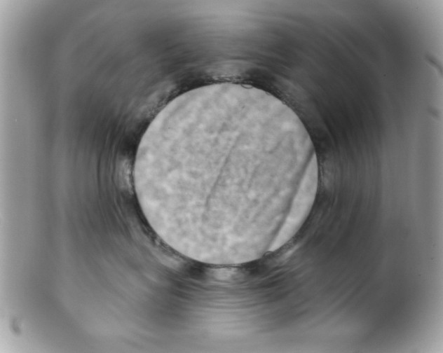 X0000098130575200805151119