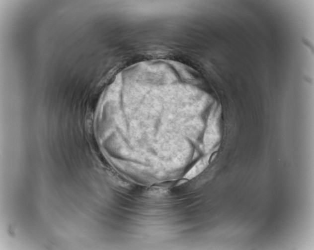 X0000098130576200805151119