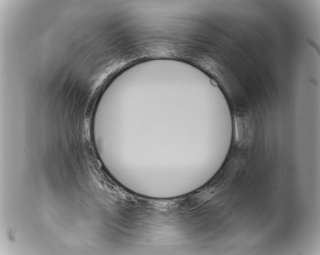 X0000098130579200805151118