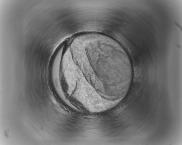 X0000098130580200805151118