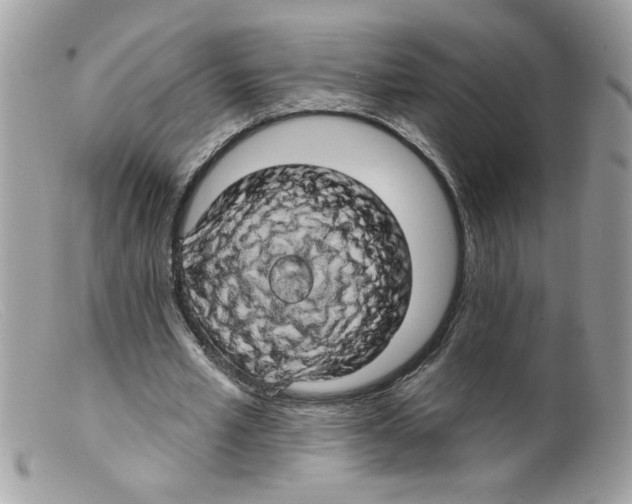 X0000098130581200805151118