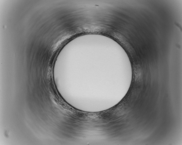 X0000098130583200805151118