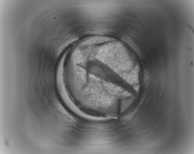 X0000098130585200805151118