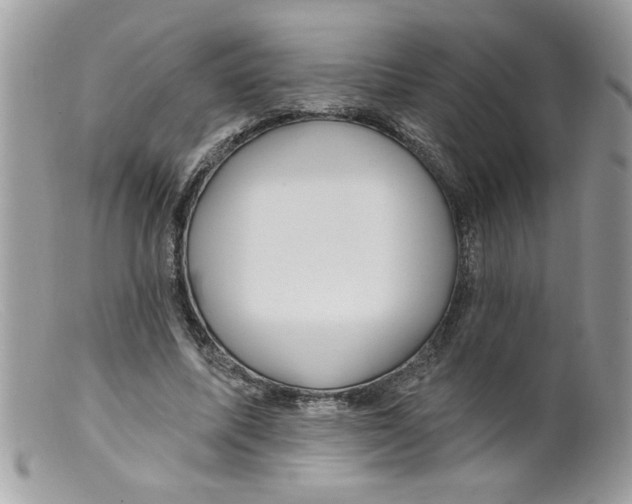 X0000098130587200805151118
