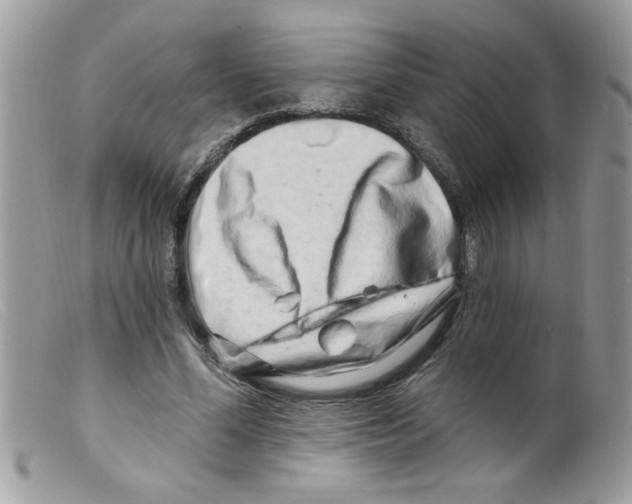 X0000098130588200805151118