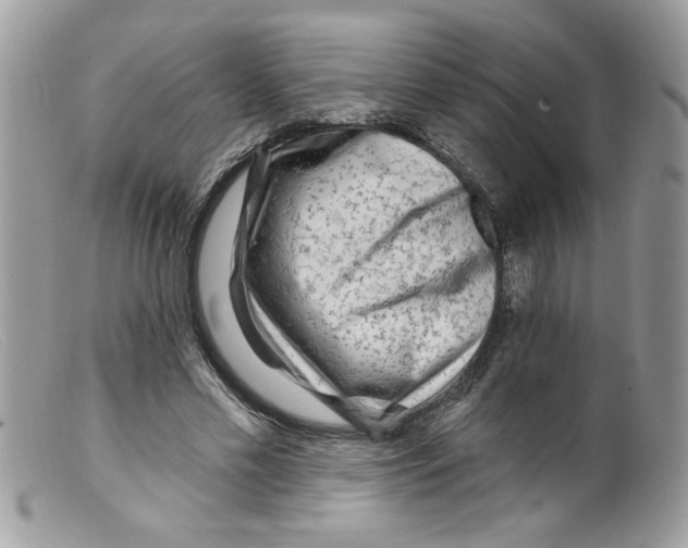 X0000098130589200805151118