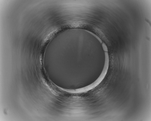 X0000098130590200805151118
