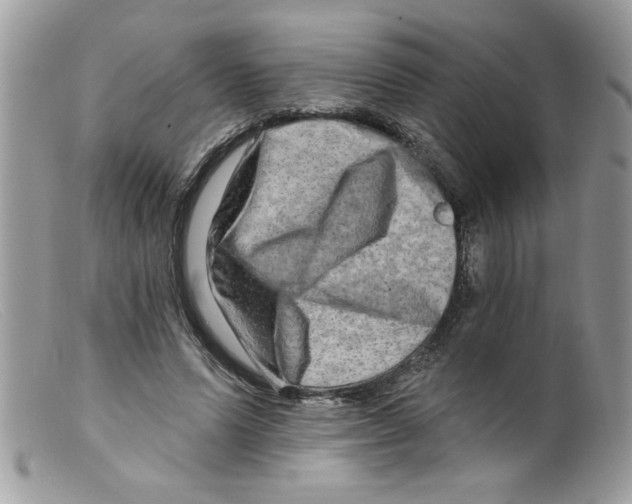 X0000098130591200805151117
