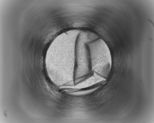 X0000098130592200805151117