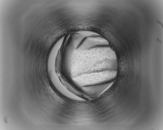 X0000098130593200805151117