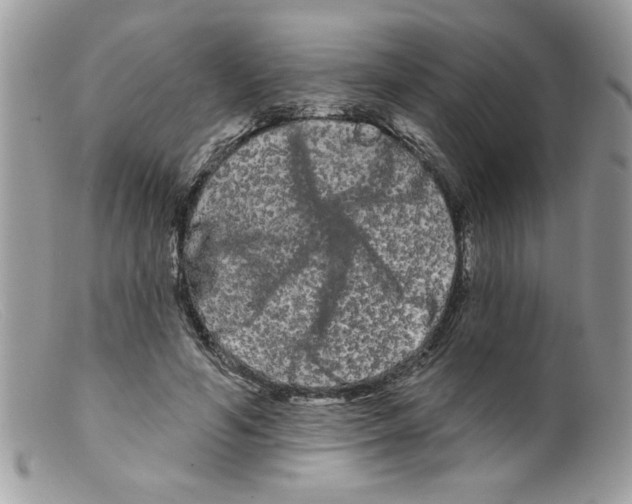 X0000098130594200805151117