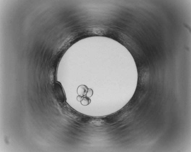 X0000098130595200805151117