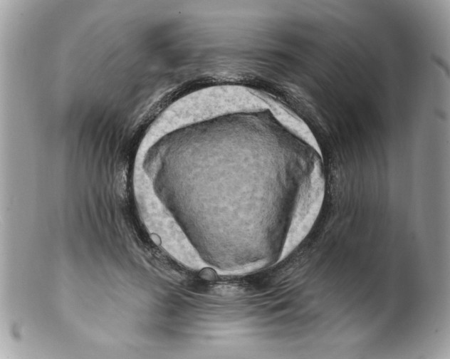 X0000098130596200805151117
