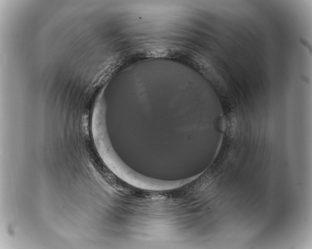 X0000098130598200805151117