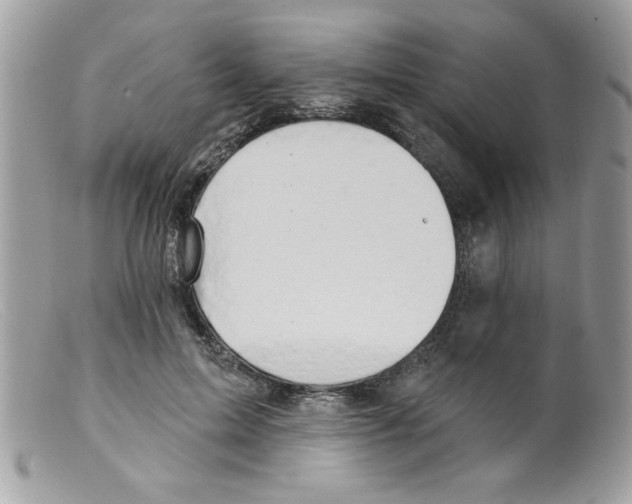X0000098130599200805151117