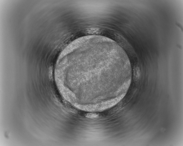 X0000098130602200805151117