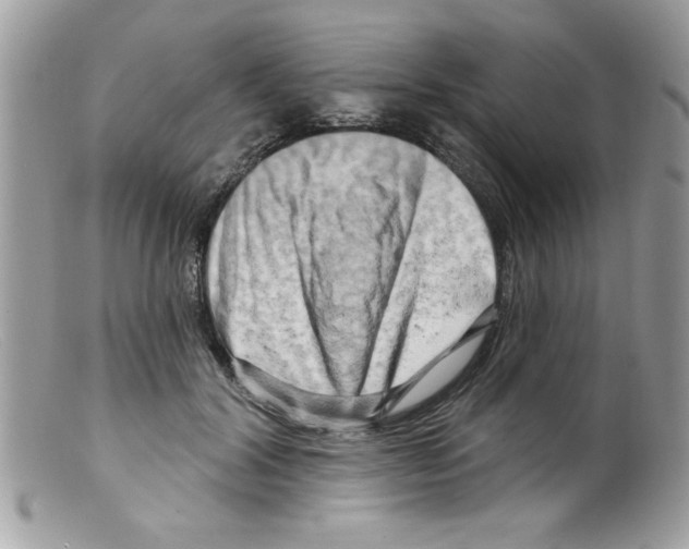 X0000098130604200805151117