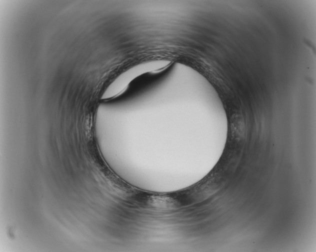 X0000098130605200805151117