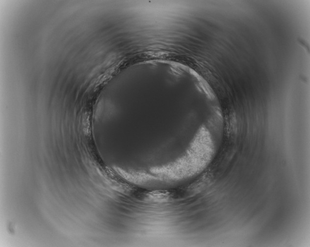 X0000098130606200805151117