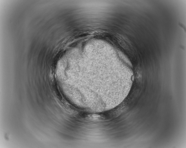 X0000098130607200805151117