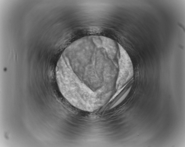 X0000098130608200805151117