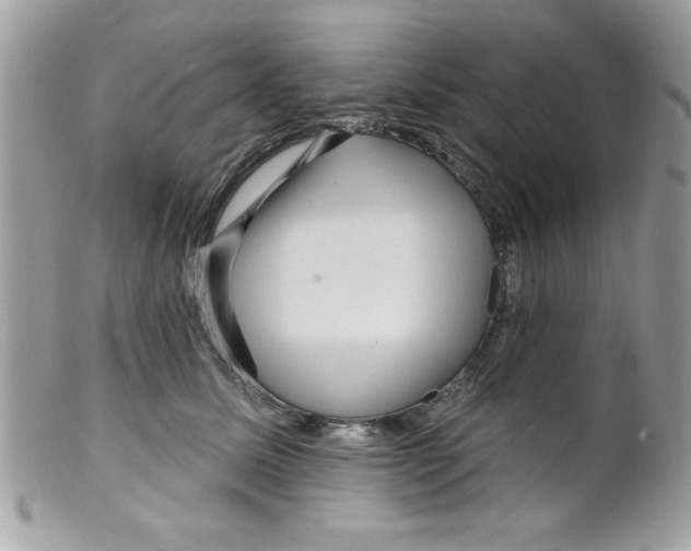 X0000098130611200805151117