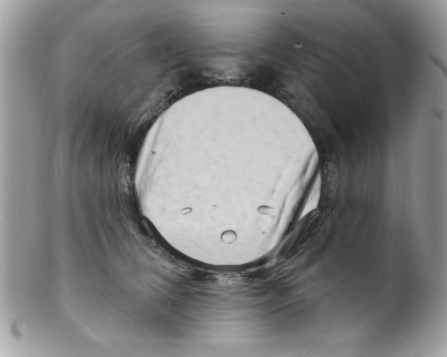 X0000098130612200805151117