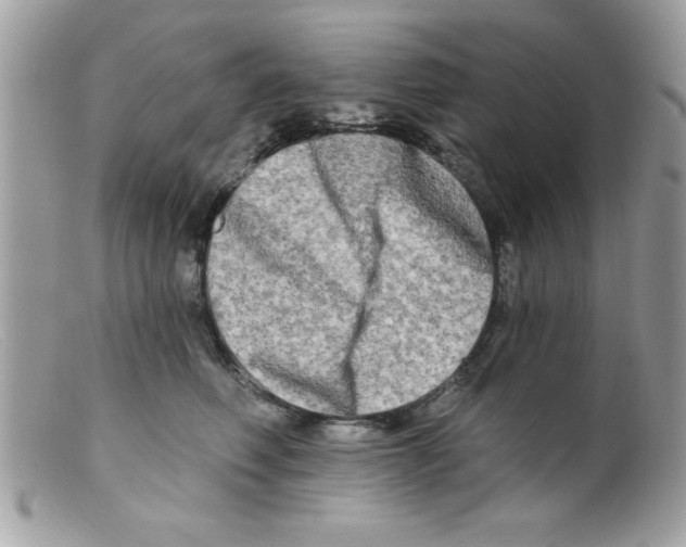X0000098130614200805151117