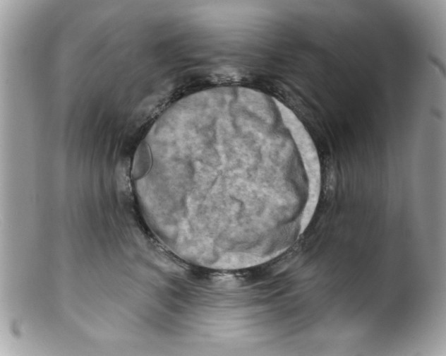 X0000098130616200805151117