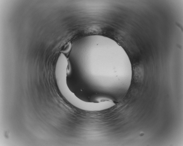 X0000098130617200805151117