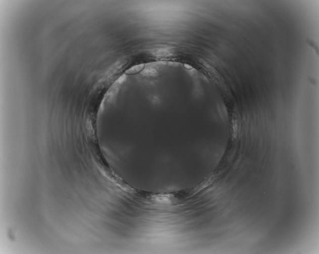 X0000098130618200805151117