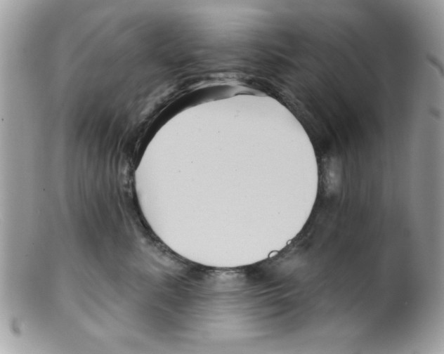 X0000098130619200805151117